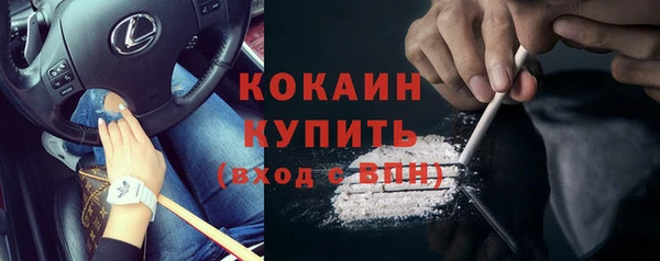 спайс Кулебаки