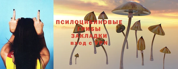 спиды Кукмор