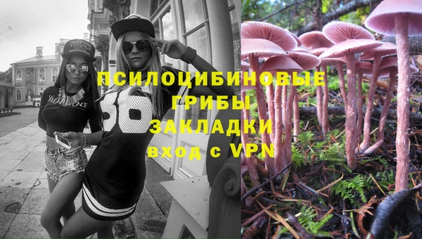 спайс Кулебаки