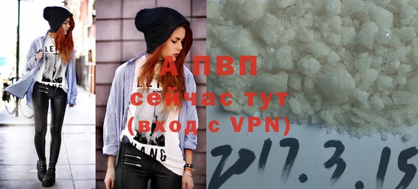 спиды Кукмор