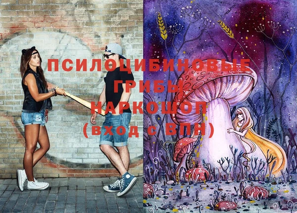 спайс Кулебаки